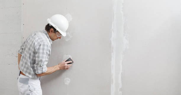 Reliable North Fort Lewis, WA Mold Removal Solutions