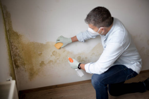 Best Asbestos and Lead Testing During Mold Inspection  in North Fort Lewis, WA