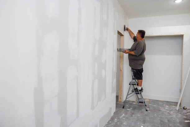 Best Emergency Mold Remediation  in North Fort Lewis, WA