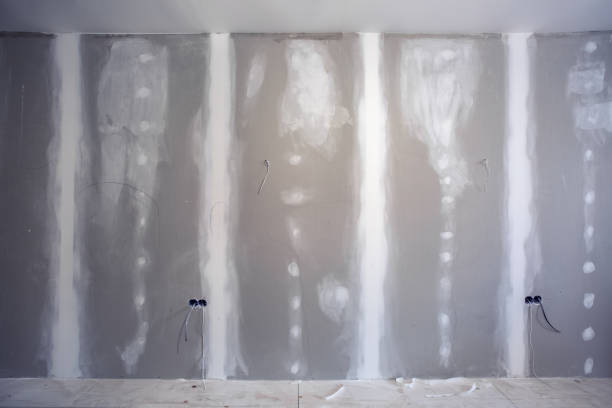Best Crawl Space Mold Remediation  in North Fort Lewis, WA